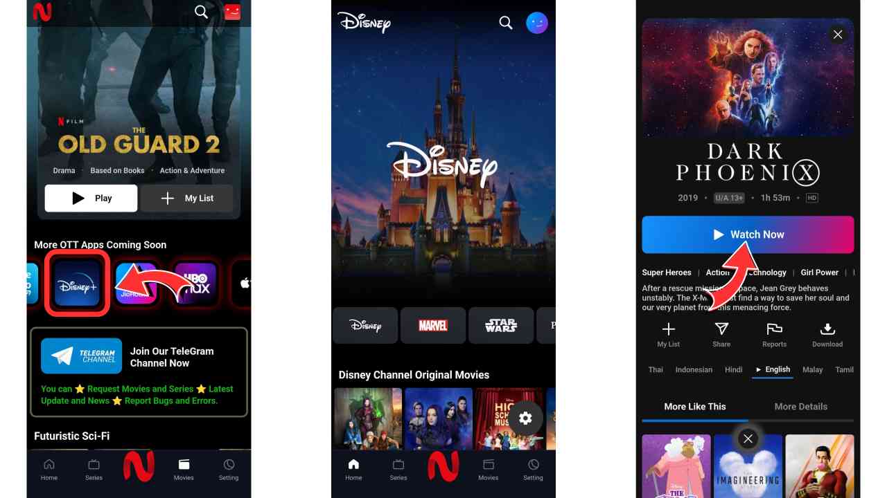 How to Stream Disney Plus on NetMirror