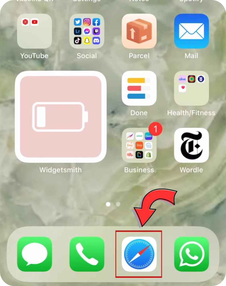 Install and Setup NetMirror on iOS 1