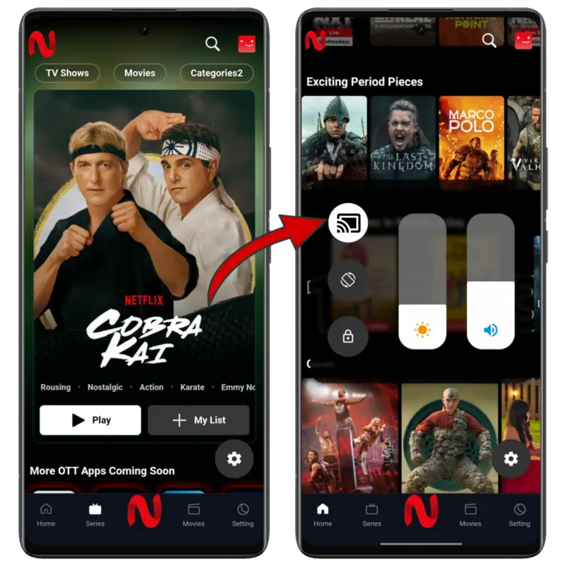 Cast NetMirror to TV